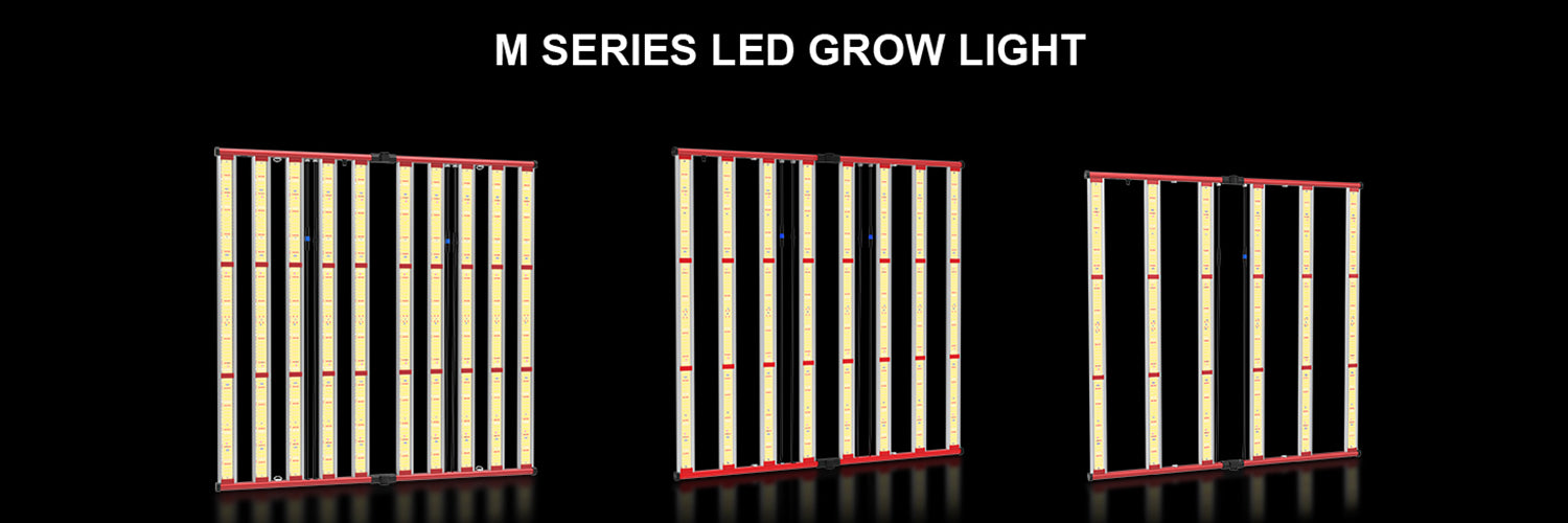 LED Grow Lights Manufacturer Aglexs led-grow-lights-manufacturer-aglexs