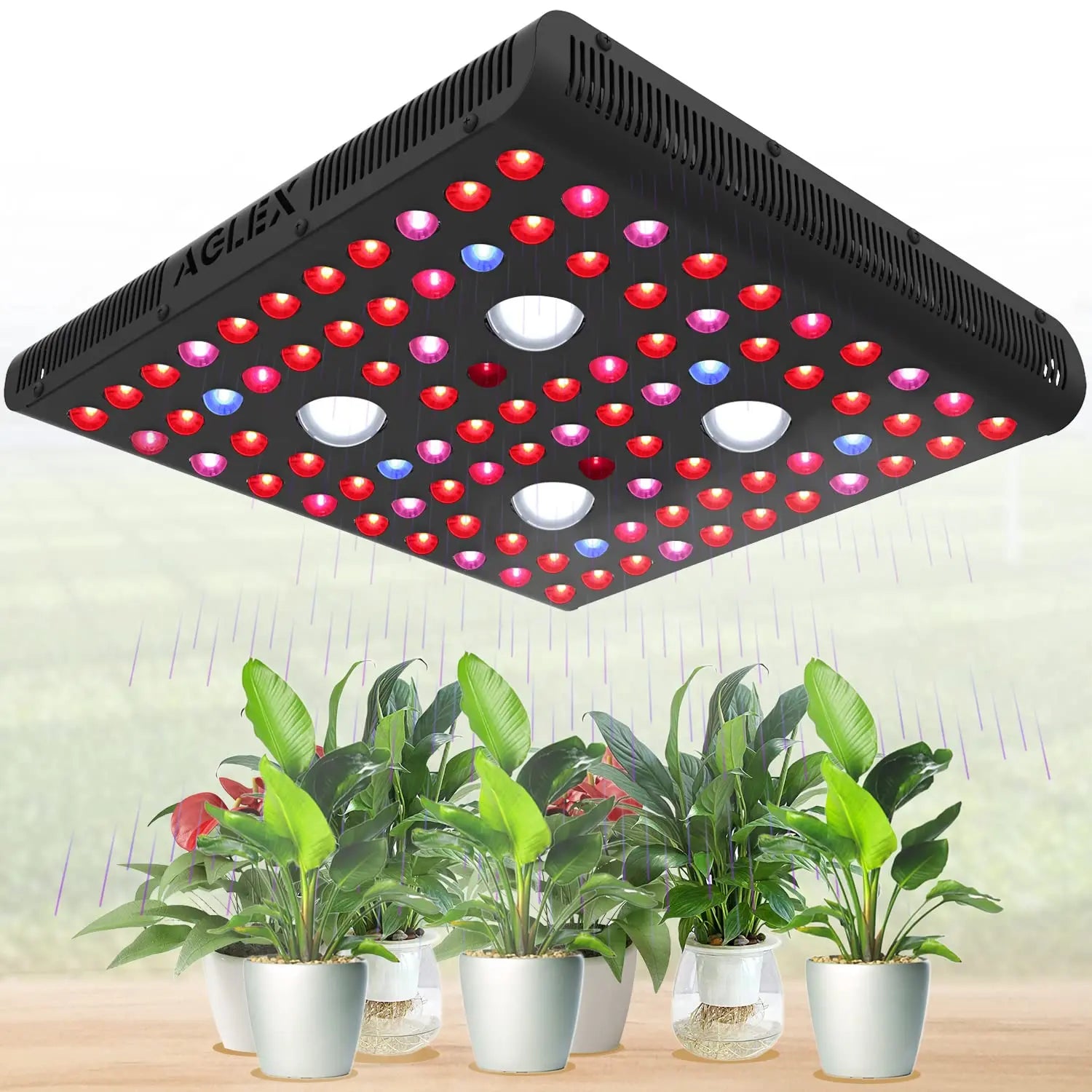 COB 2000W LED Plant Grow Light with UV IR Full Spectrum Coverage 4x4FT ...